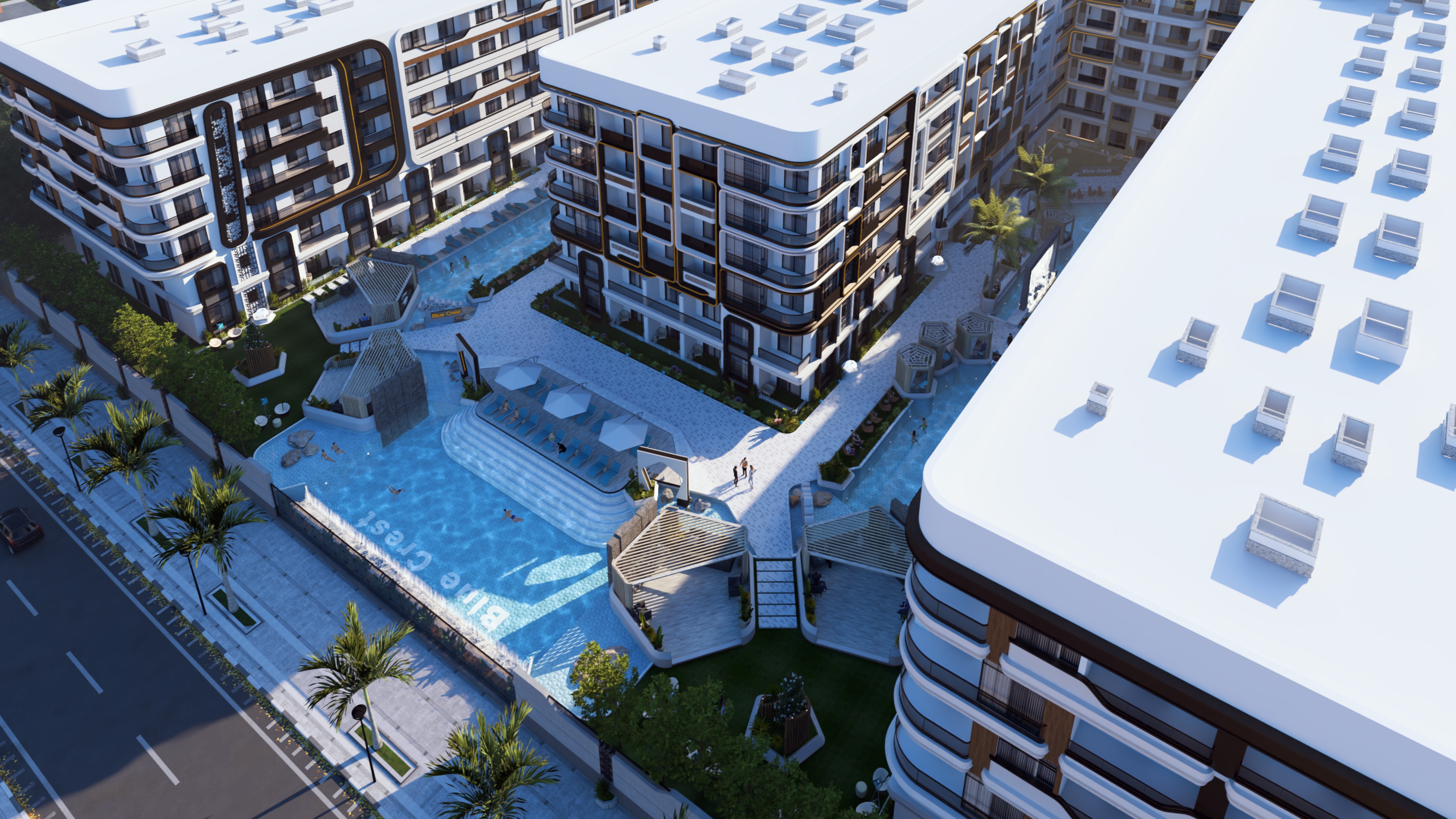 Blue Crest image 6