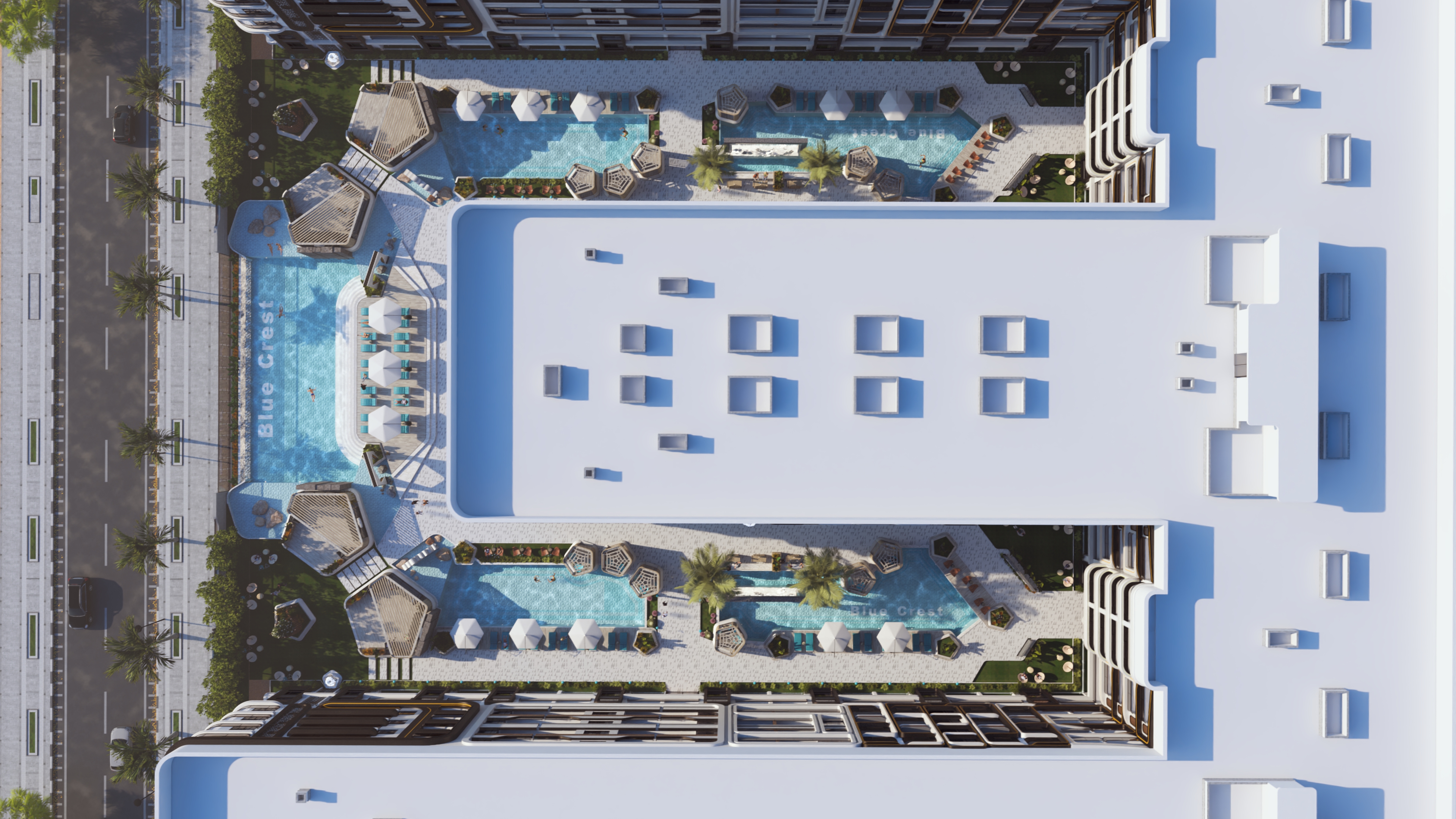 Blue Crest image 7